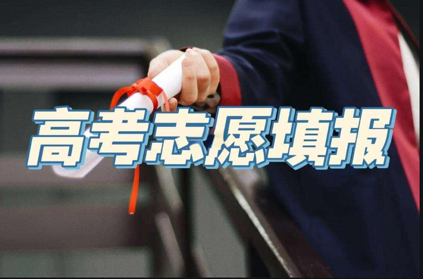 志愿填报