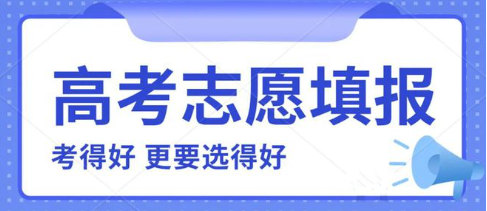 志愿填报辅导机构排名