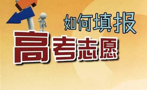 怎么填志愿填报