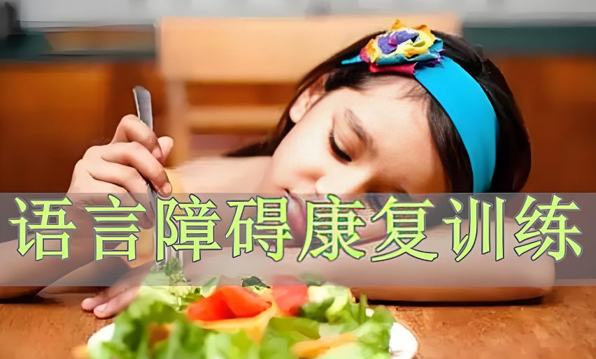 语言障碍康复训练机构排名