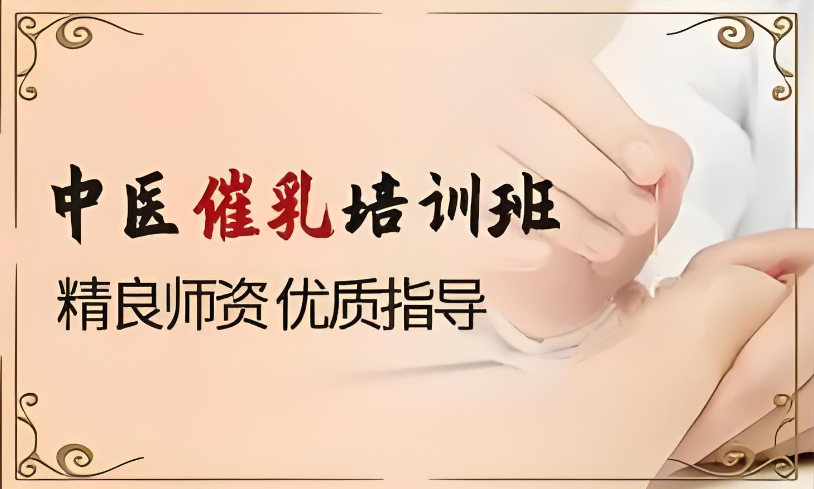 中医催乳培训机构排名