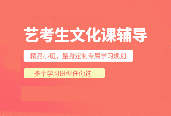 艺术生文化课辅导 艺术生文化课辅导