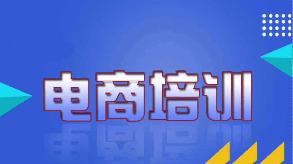 2024 年目前的电商价格模式