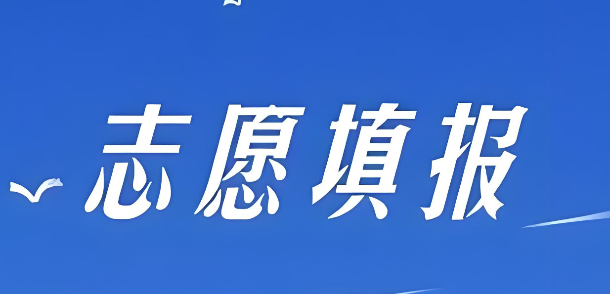 志愿填报指导机构排名