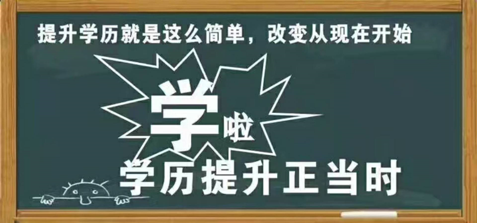 学历提升辅导