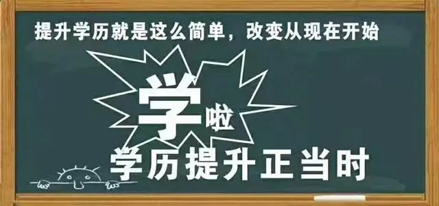 成人高考教育机构
