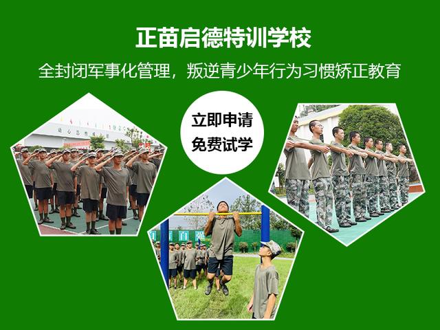 从发展角度看叛逆期与特训学校的作用