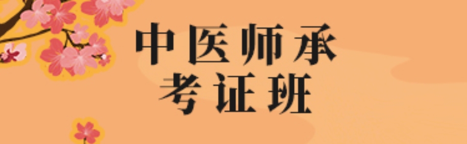 中医师承考证 中医师承考证