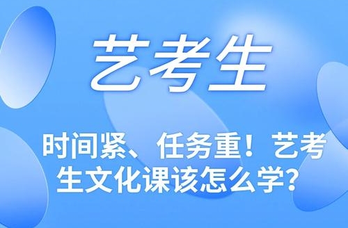 艺考生文化课补习