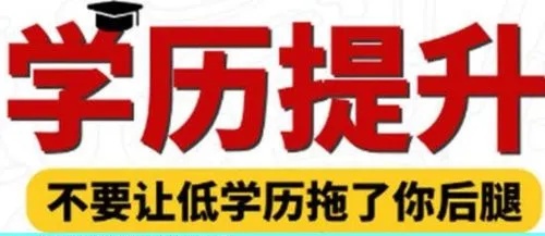 不容错过!石家庄人气排名前十的成人学历提升报考机构名单介绍