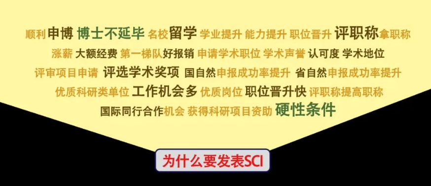 论文辅导