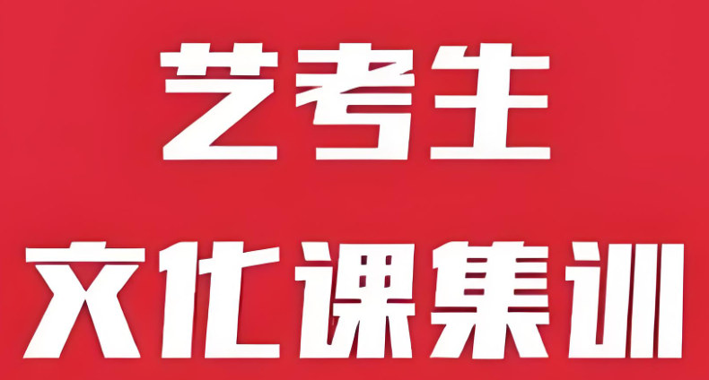 艺考生文化课辅导补习学校排名