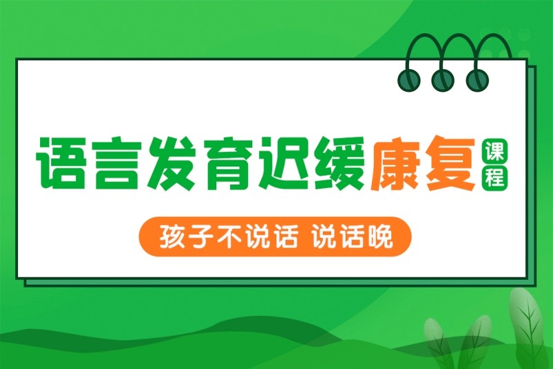 语言发育迟缓康复