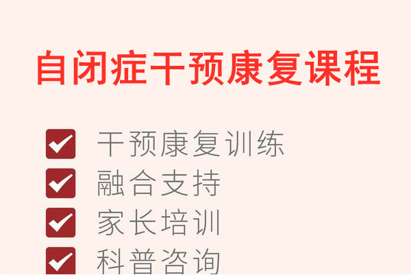 自闭症干预康复课程