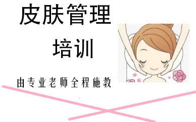 国内十大中韩皮肤管理技术培训机构名单总览