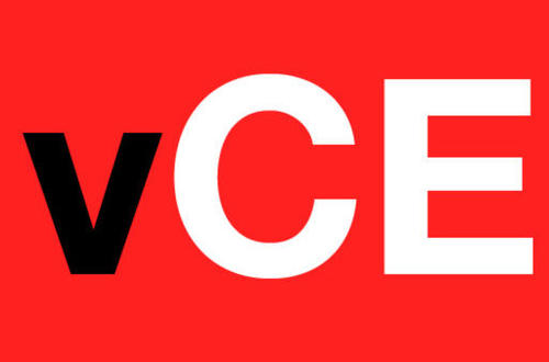 VCE课程辅导