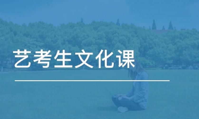全日制艺考生文化课冲刺辅导