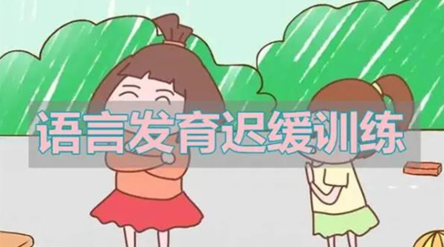 语言发育迟缓训练