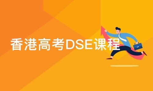 DSE课程辅导