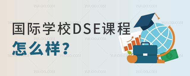 DSE课程辅导