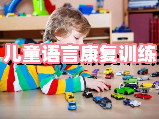 广西玉林市实力出色的五大儿童语言发育障碍康复训练中心名单,儿童自闭症康复机构