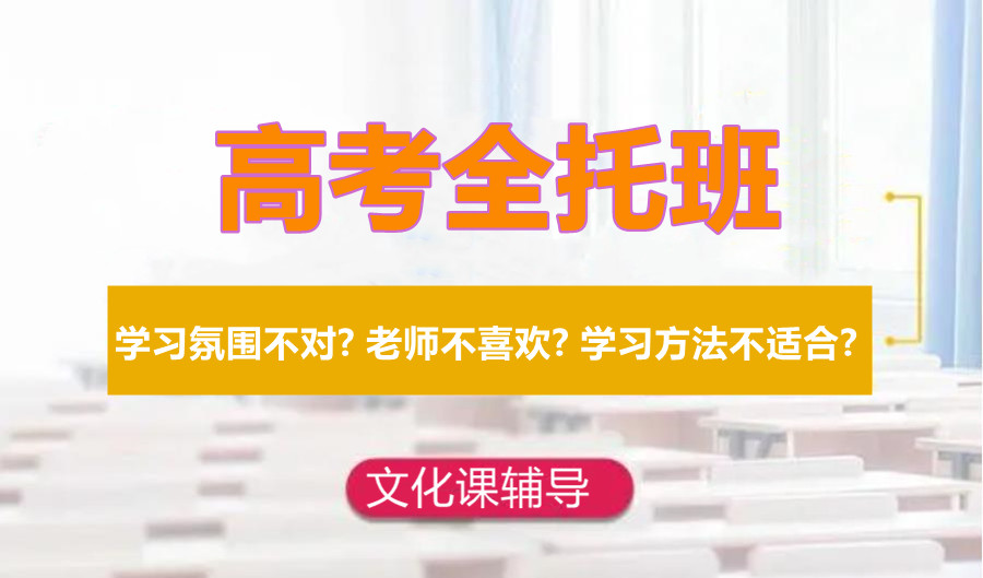 高考冲刺辅导