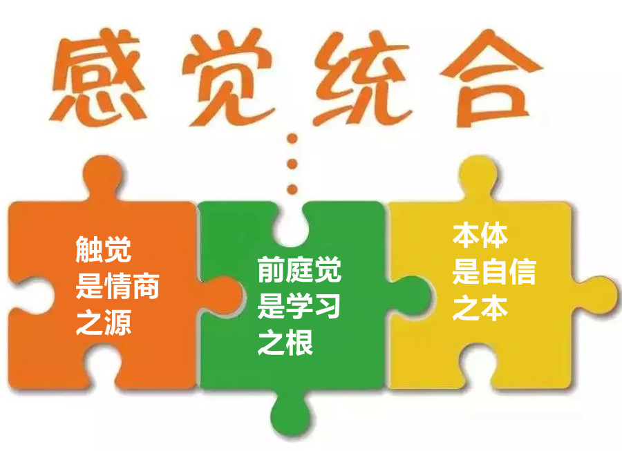 感觉统合