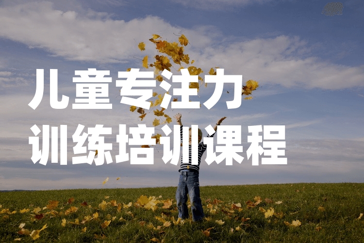 儿童专注力训练课程