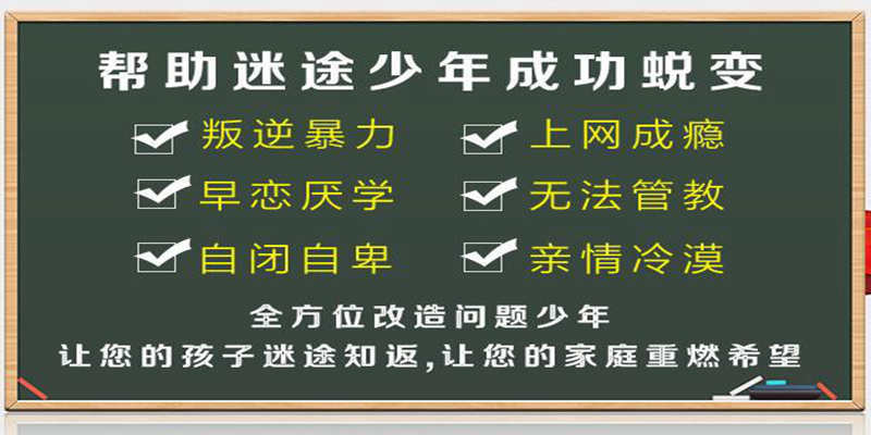 青少年素质教育