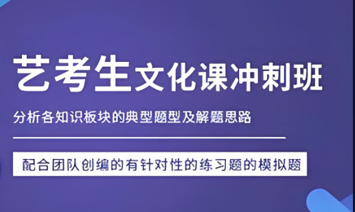 如何选择艺术生文化课辅导补习学校