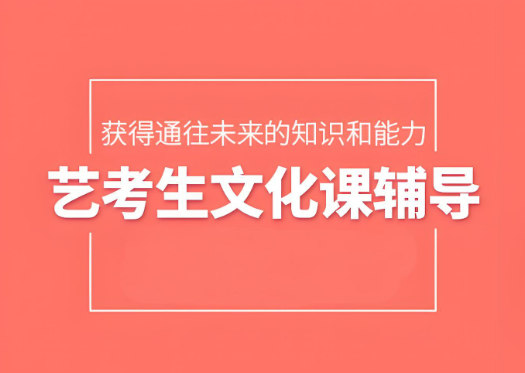 艺考生文化课辅导补习学校的优势