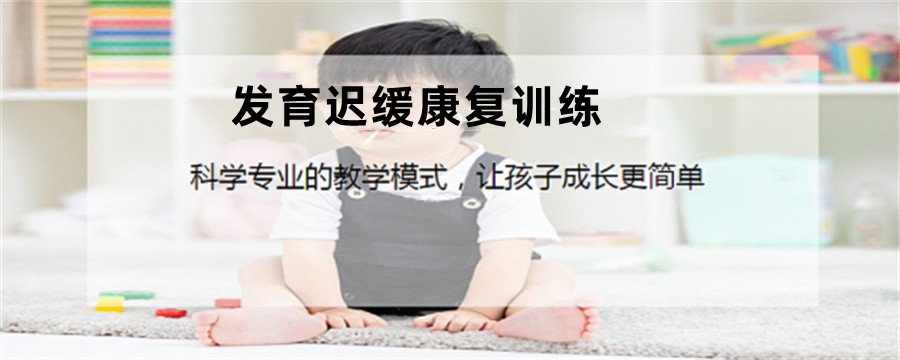 发育迟缓康复训练