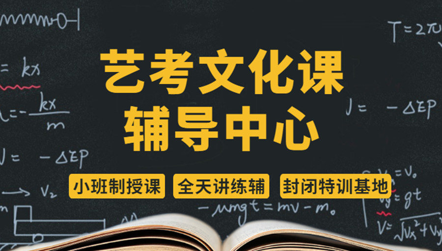 高三艺考生文化课辅导补习学校.jpg