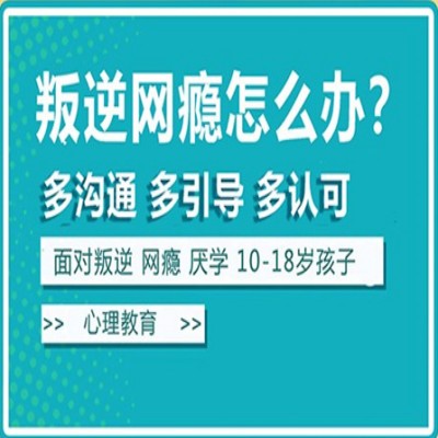 叛逆网瘾少年改造
