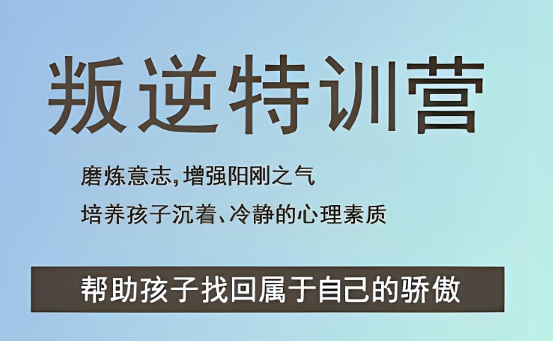 叛逆特训营