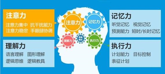 为什么选择专业的多动症康复机构进行康复治疗