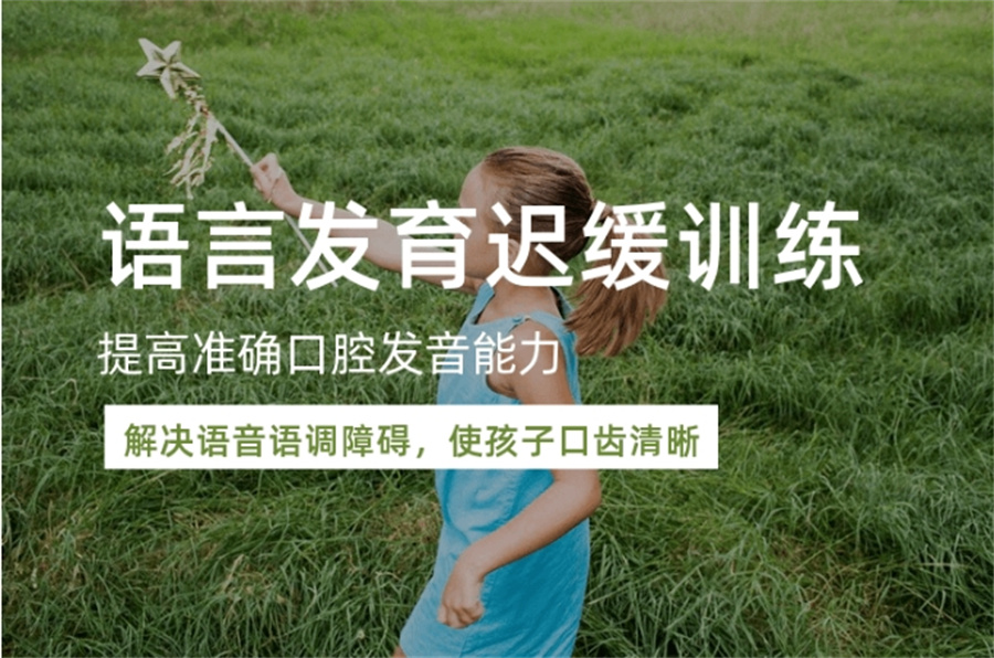 语言发育迟缓训练