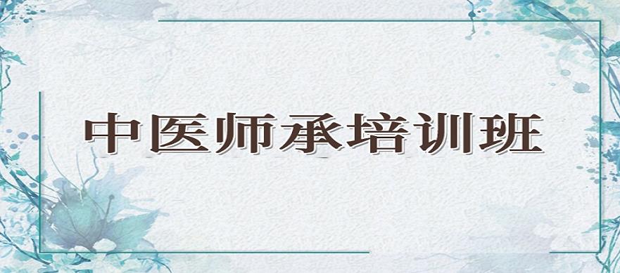 中医师承培训 中医师承培训