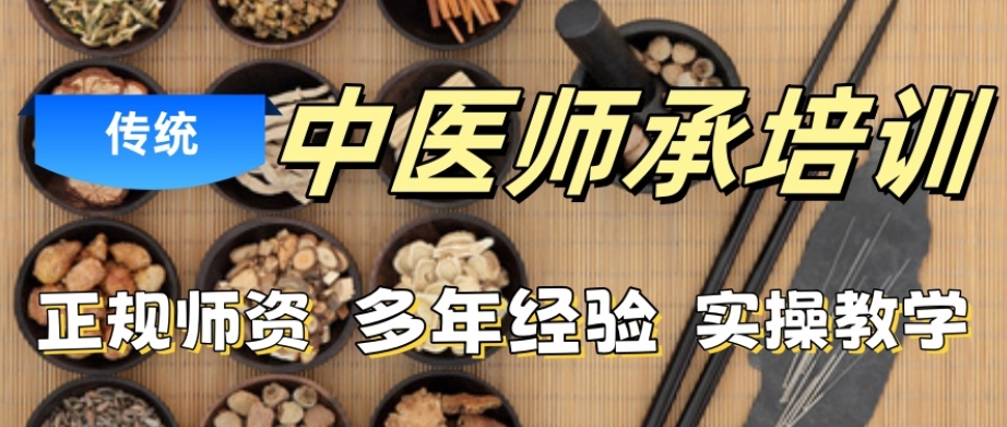 中医师成培训