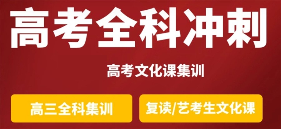 高考冲刺集训辅导