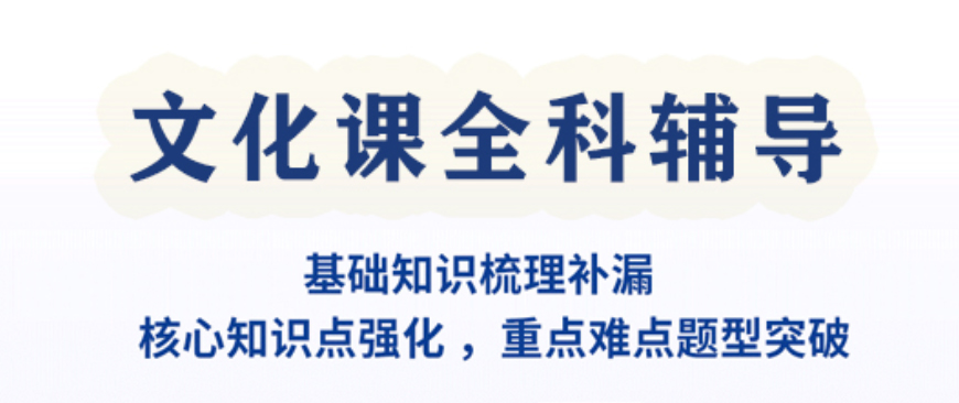 艺考文化课全科辅导