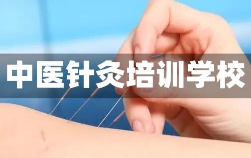 中医针灸技术指导