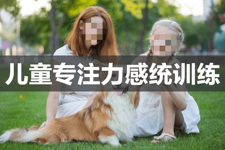 儿童感统失调训练 儿童感统失调训练