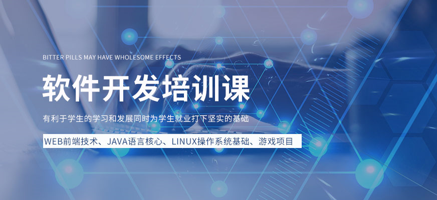 软件编程培训