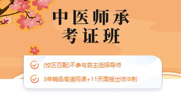 中医师承培训