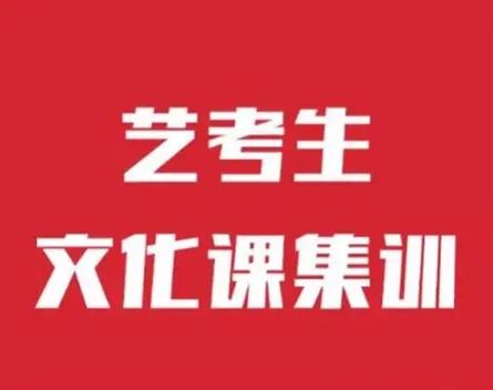 高三艺考生文化课辅导