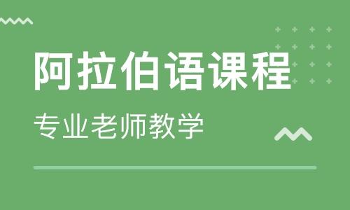 阿拉伯语培训