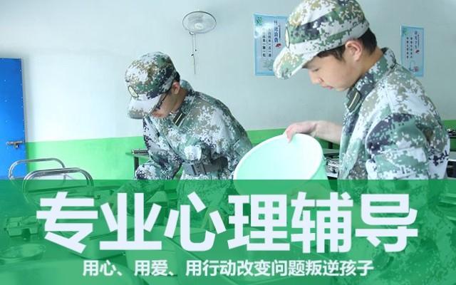 叛逆训练