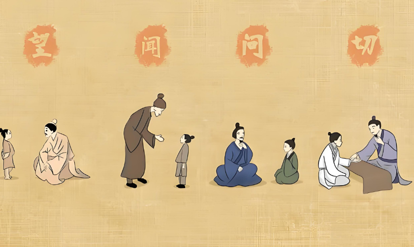 中医全科都包含哪些项目