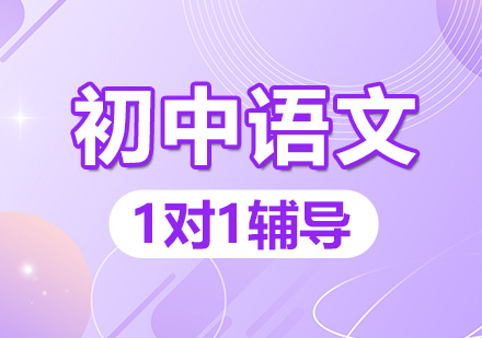 中学生语文课外辅导